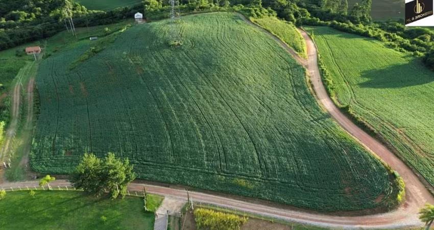 Sítio / Chácara para Venda no bairro Serrinha em Contenda, 29000 m² de área total, 29000 m² privativos,