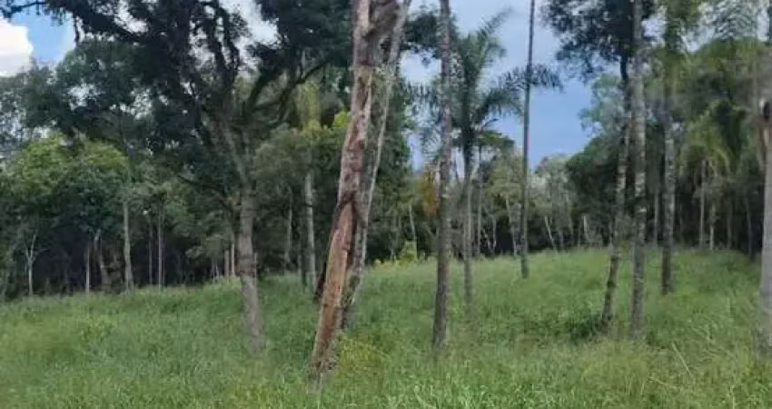 Sítio / chácara para venda no bairro zona rural em imbituva