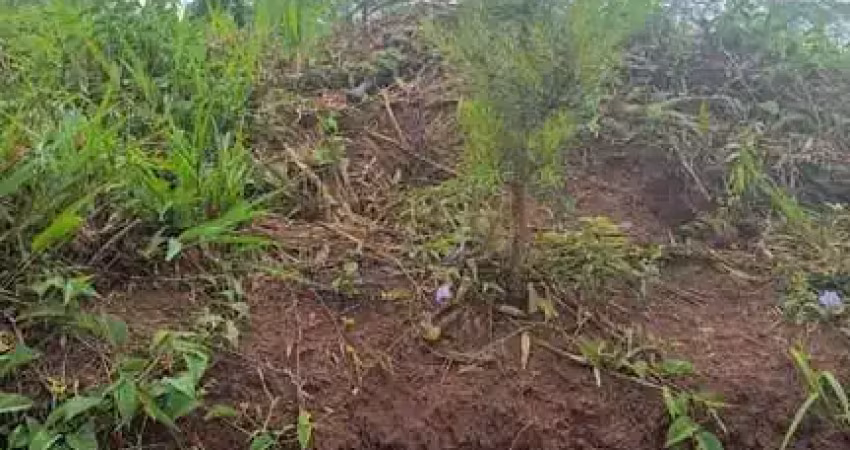 Sítio / Chácara para Venda no bairro Três corregos em Campo Largo, 420000 m² de área total, 420000 m² privativos,