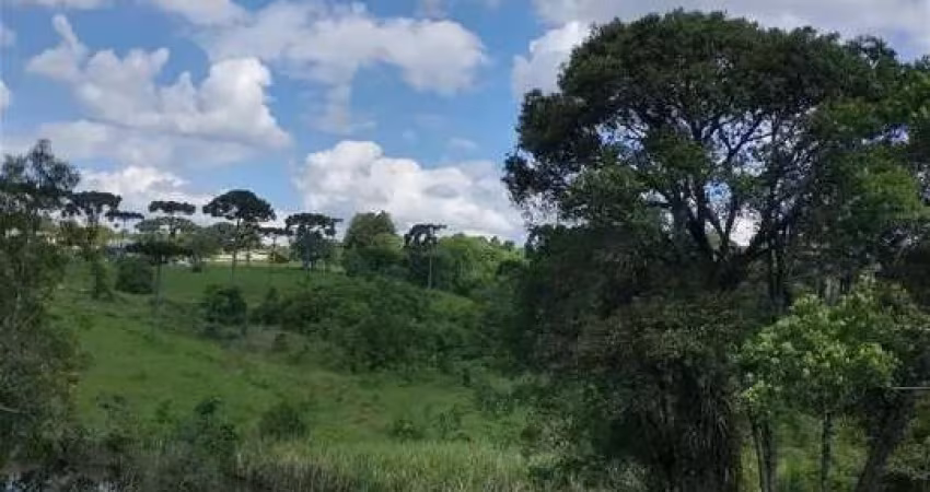 Sítio / Chácara para Venda no bairro São Dimas em Colombo, 20000 m² de área total, 20000 m² privativos,