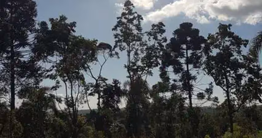 21.788m2/2,500 metros estrada da graciosa/ideal para investidor/airbnb