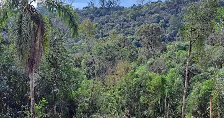 21.087m2/1.500 m estrada graciosa/linda vista serra mar/ideal airbnb