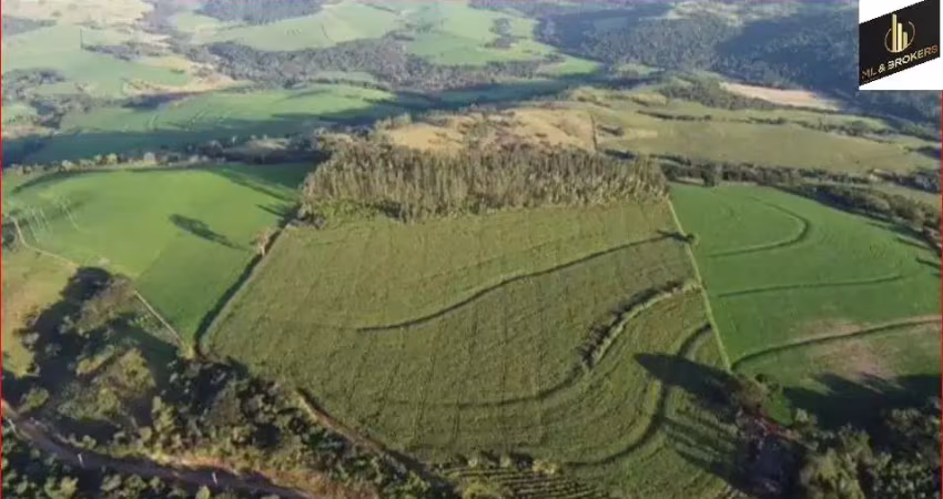 Chácara / sítio à venda na Zona Rural, Jandaia do Sul 