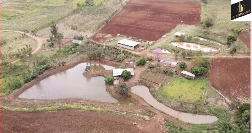 Chácara / sítio com 3 quartos à venda na Área Rural, Área Rural de Campo Mourão, Campo Mourão