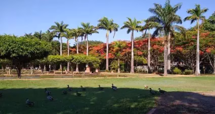 Incrível oportunidade de negócios neste excelente pesque e pague na ponte alta gama df
