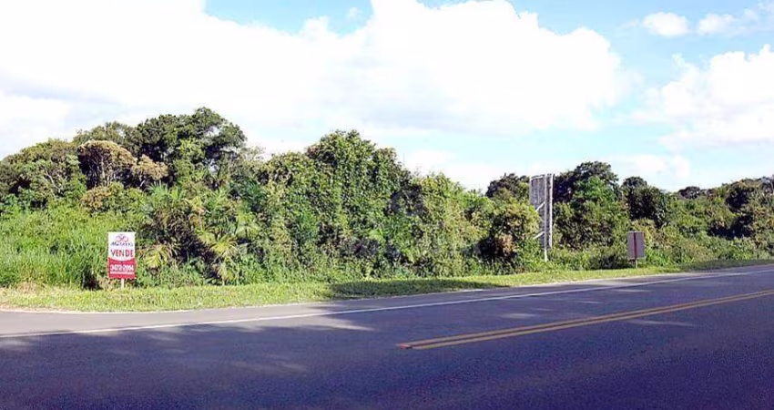 Terreno à venda, 810 m² por R$ 550.000,00 - Eliana - Guaratuba/PR