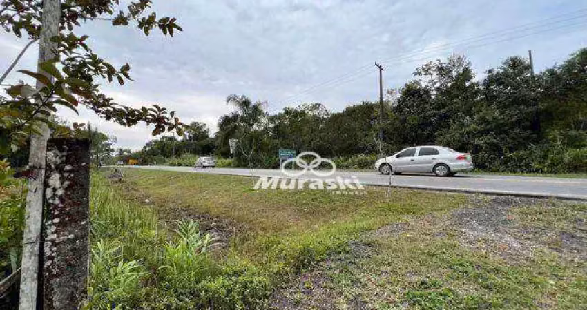 Chácara com 1 dormitório à venda, 2420 m² por R$ 280.000,00 - Zona Rural - Guaratuba/PR