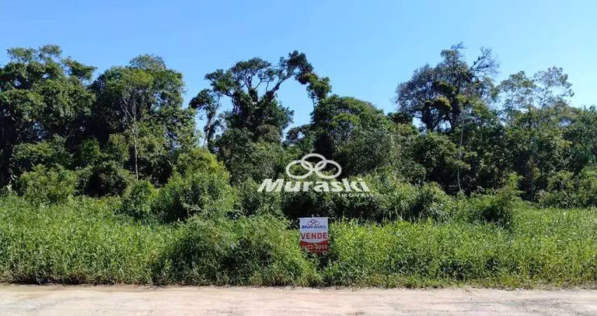 Terreno à venda na Rua Demetrio Elias Degazi, Balneário Eliane, Guaratuba
