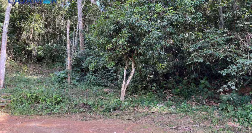 Terreno à venda, 3047 m² por r$ 140.000,00 - vau novo - cajamar/sp