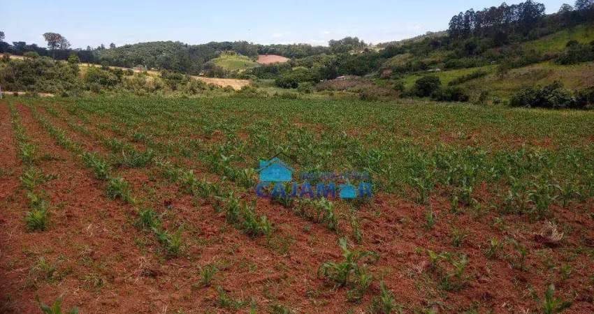 Área à venda, 20026 m² por r$ 600.000 - estância são paulo - jarinu/sp