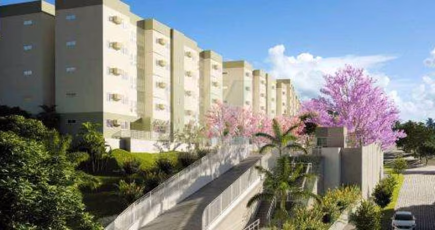 VILA NOVO CURADO