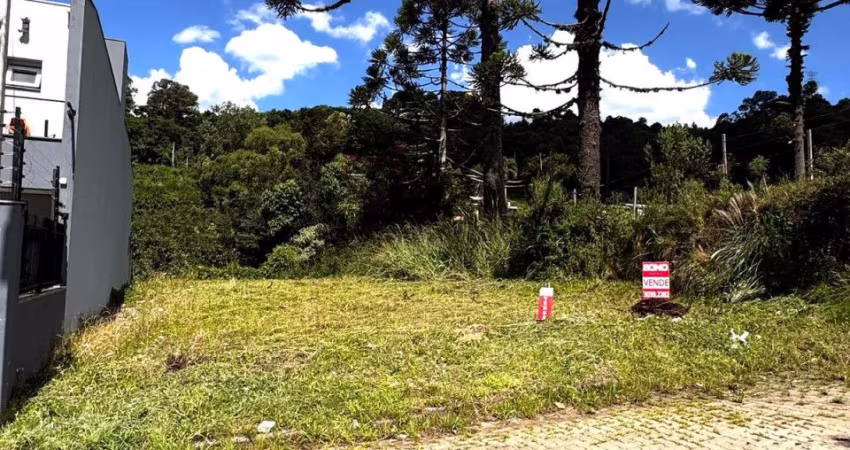terreno em Monte Bérico
