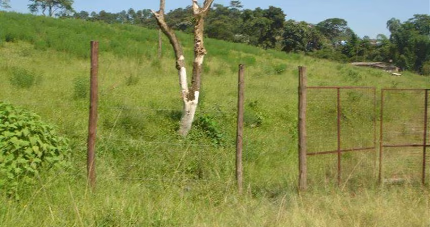 Terreno Jardim Paineira Itaquaquecetuba/SP
