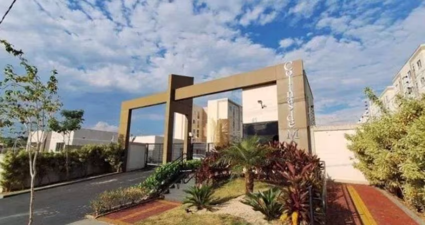 Apartamento Aconchegante com Preço Especial em Campinas!
