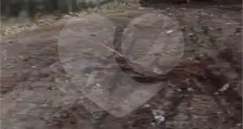 Terreno à venda na Sargento Silvio Delmar Hollembach, Indaia, Bertioga