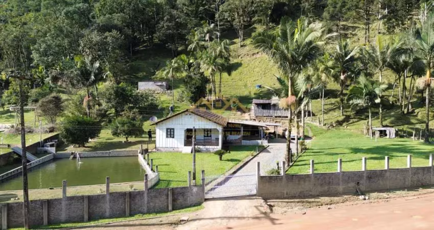 Chácara / sítio com 3 quartos à venda em Cedro Alto, Rio dos Cedros 