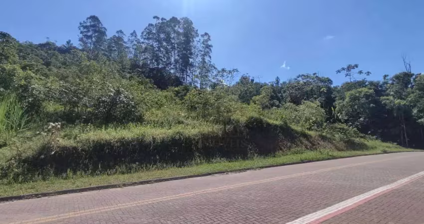 Terreno à venda, 48958 m² por r$ 1.000.000,00 - testo alto - pomerode/sc