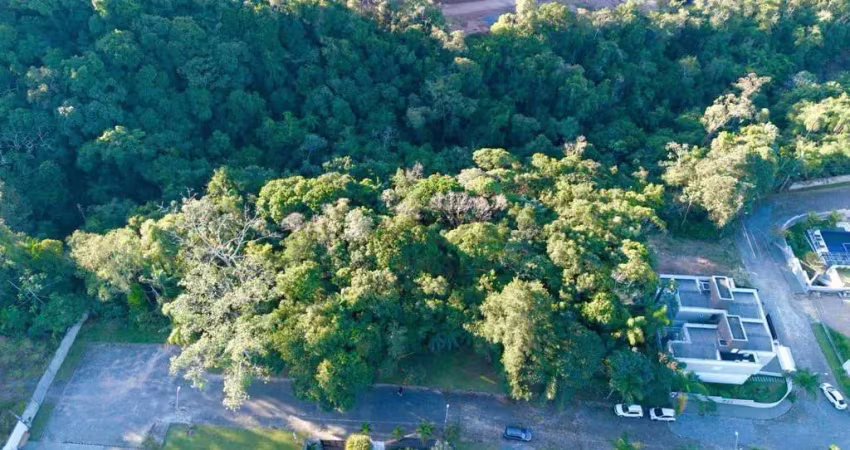 Terreno à venda, 785 m² por r$ 549.000,00 - ponta aguda - blumenau/sc