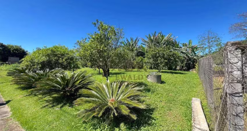 Terreno à venda, 480 m² por r$ 649.000,00 - centro - pomerode/sc