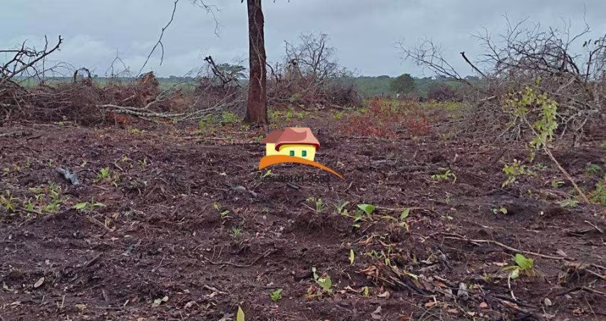 Fazenda para Venda em Pedro Afonso, Área rural com expansão consolidada