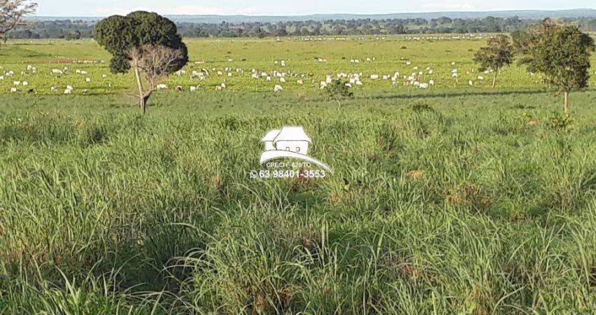 Fazenda para Venda em Gurupi, Área rural com expansão consolidada