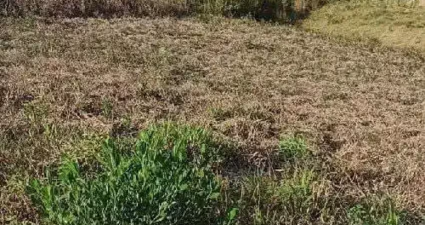 Terreno à venda, 300m², loteamento residencial penha i, penha-sc