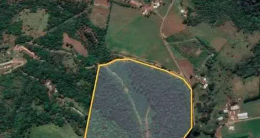 Terreno à venda na Linha São Roque, Interior, Chapecó