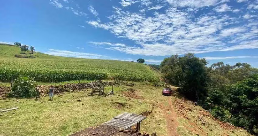 Terreno à venda na Linha Tarumã, Zona Rural, Coronel Freitas