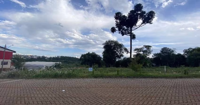 Terreno à venda na Dorvalino Baldissera, Lajeado, Chapecó