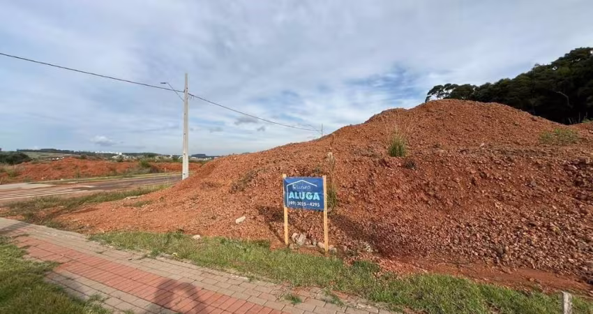 Terreno comercial para alugar na Rua Maria Lucia Pompermayer, Bom Retiro, Chapecó