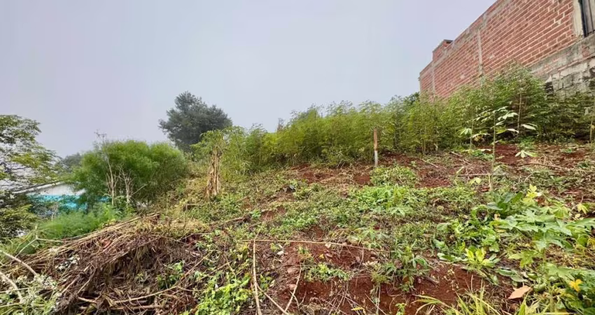 Terreno à venda na Heitor Villas Lobos, 1943, Esplanada, Chapecó