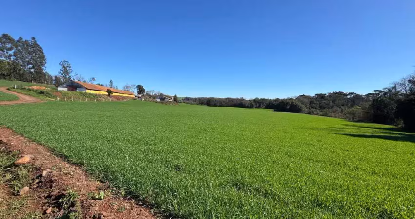 Terreno à venda na Linha Cascavel, 1, Vederti, Chapecó