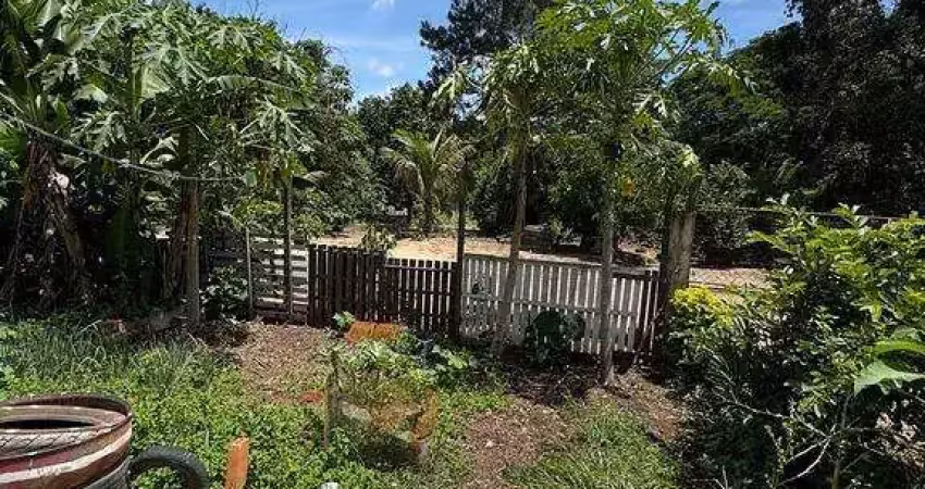 Chácara / sítio com 3 quartos à venda na Área Rural de Limeira, Limeira 