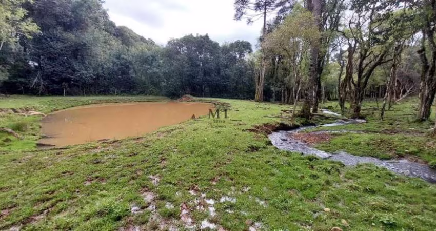 Área de terra bairro Linha Imperial, Nova Petrópolis.RS