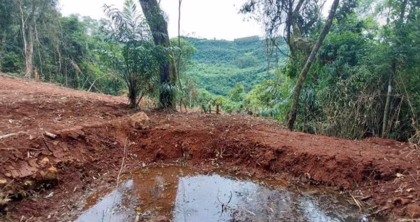 Área de terra bairro Linha Olinda, Nova Petrópolis. RS