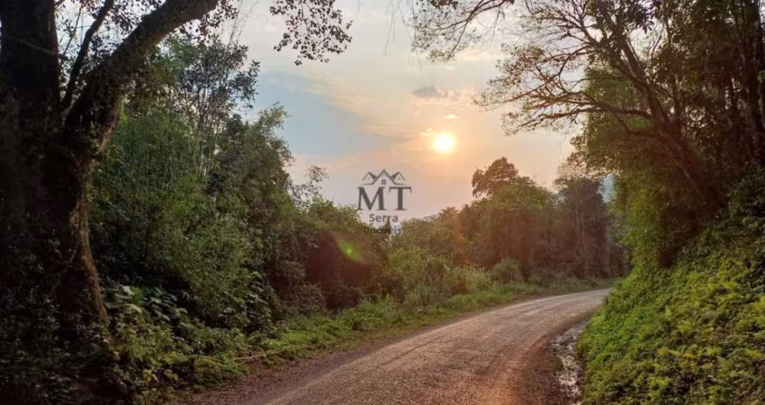 Área de terra bairro Linha Marcondes, Santa Maria do Herval. RS