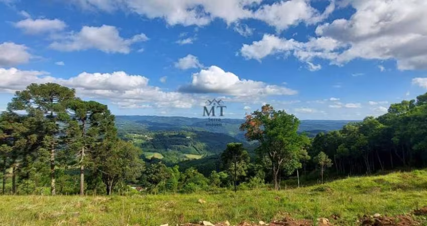 Área de terra bairro Linha Imperial, Nova Petrópolis. RS