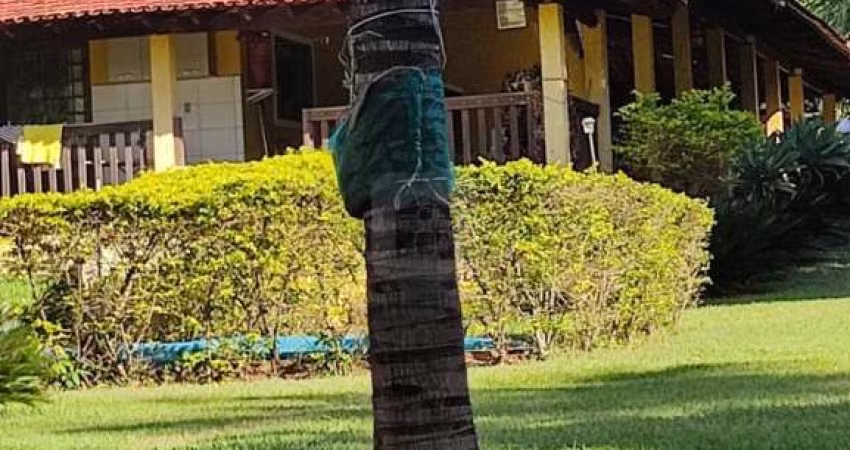 Chácara Para venda Emborcação