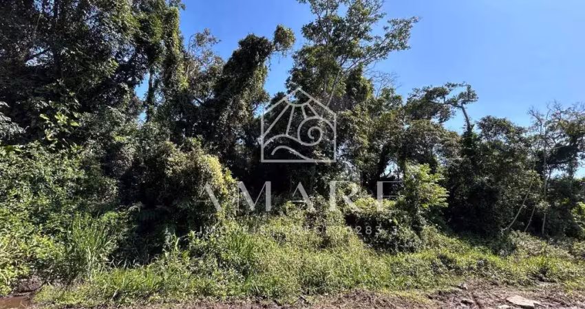 Terreno à venda na Praia do Ervino, São Francisco do Sul 