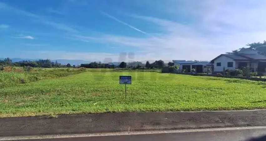 Terreno amplo com possibilidade de construção comercial e residencial.
