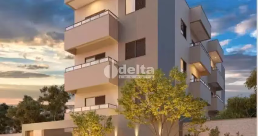 Apartamento para venda em uberlândia, santa mônica, 3 dormitórios, 1 suíte, 2 banheiros, 2 vagas