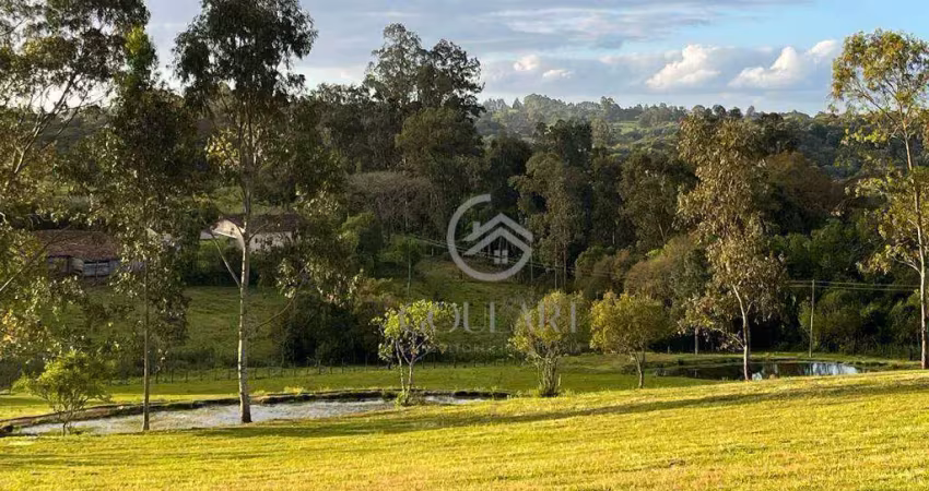 Chácara / sítio com 4 quartos à venda na Zona Rural, Morro Redondo 
