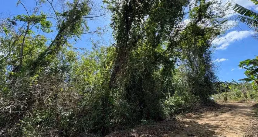 Terreno à venda em mulungu/ce fica a 10km de guaramiranga
