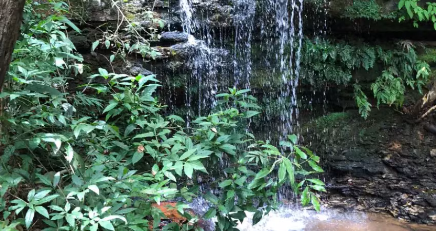 Mansão de luxo em 14 hectares na chapada - estuda permuta - alto nível - 464 m² casa -