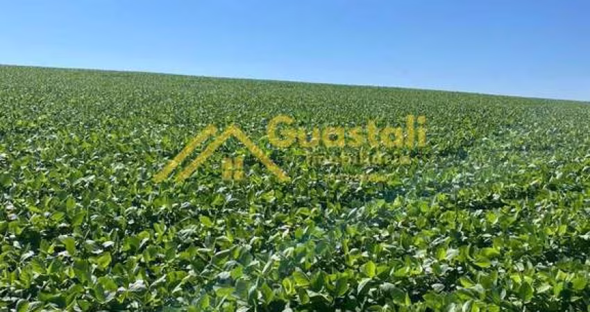Fazenda com plantação de amendoim em Torrinha/SP de 484 alqueires