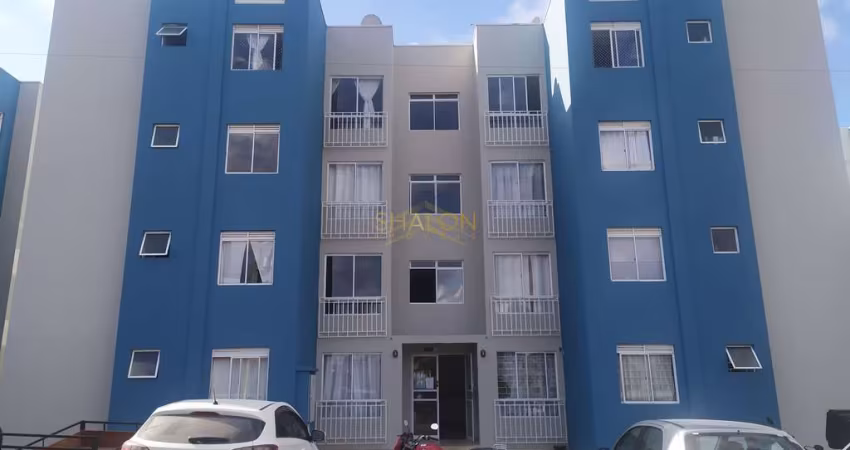 Apartamento de 42 m² Jardim Campo Verde - Almirante Tamandaré, 