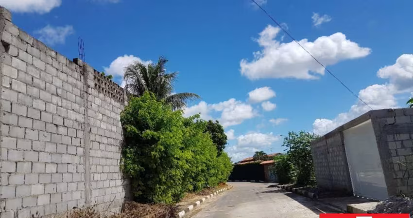 Lotes residenciais no loteamento Picuaia, a partir de 120 m² a 150m²