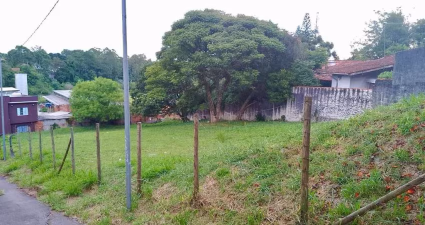 Terreno à venda na Avenida Dona Cherubina Viana, Vila Santo Antônio, Cotia - SP