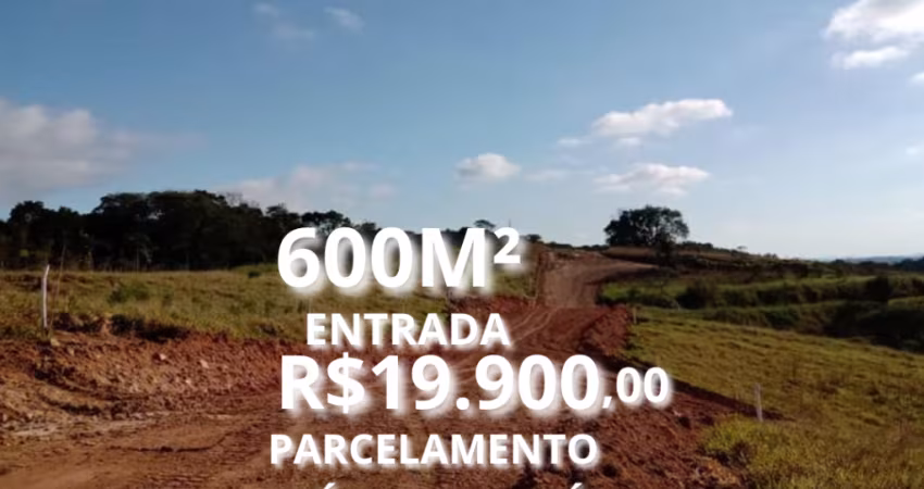 TERRENO PLAINO