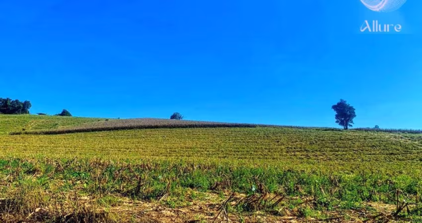 Terreno à venda na Rua José Prianti Sobrinho, 801, Fazenda São Martinho, Igaratá